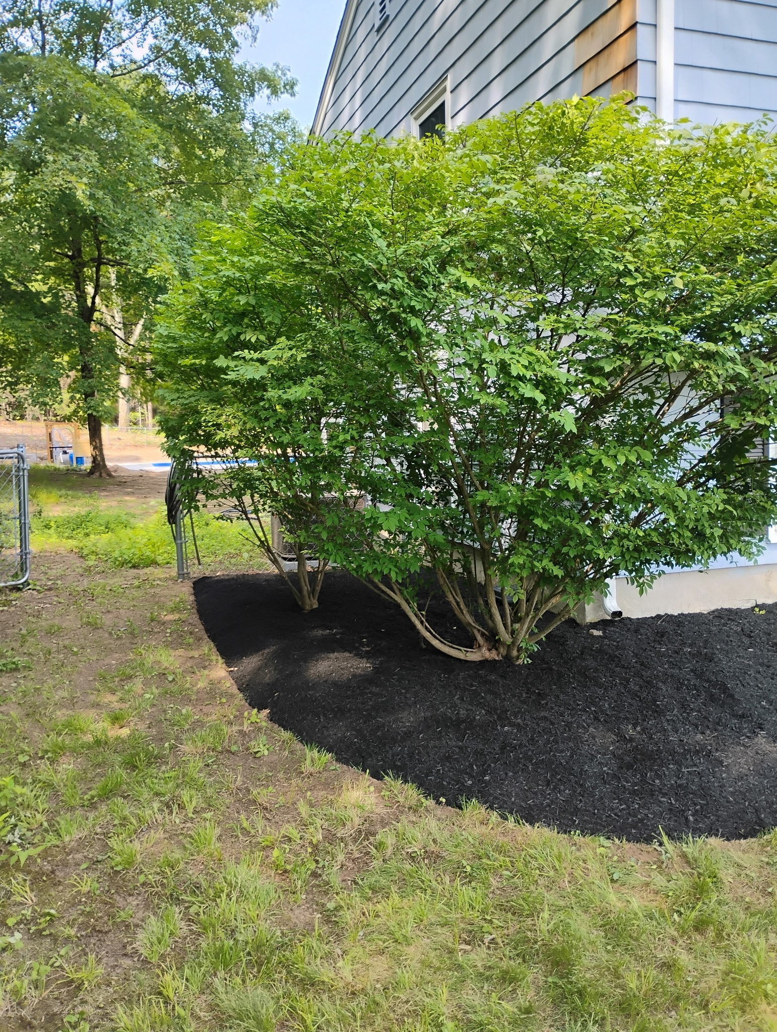 MTL Lawncare work gallery image 10