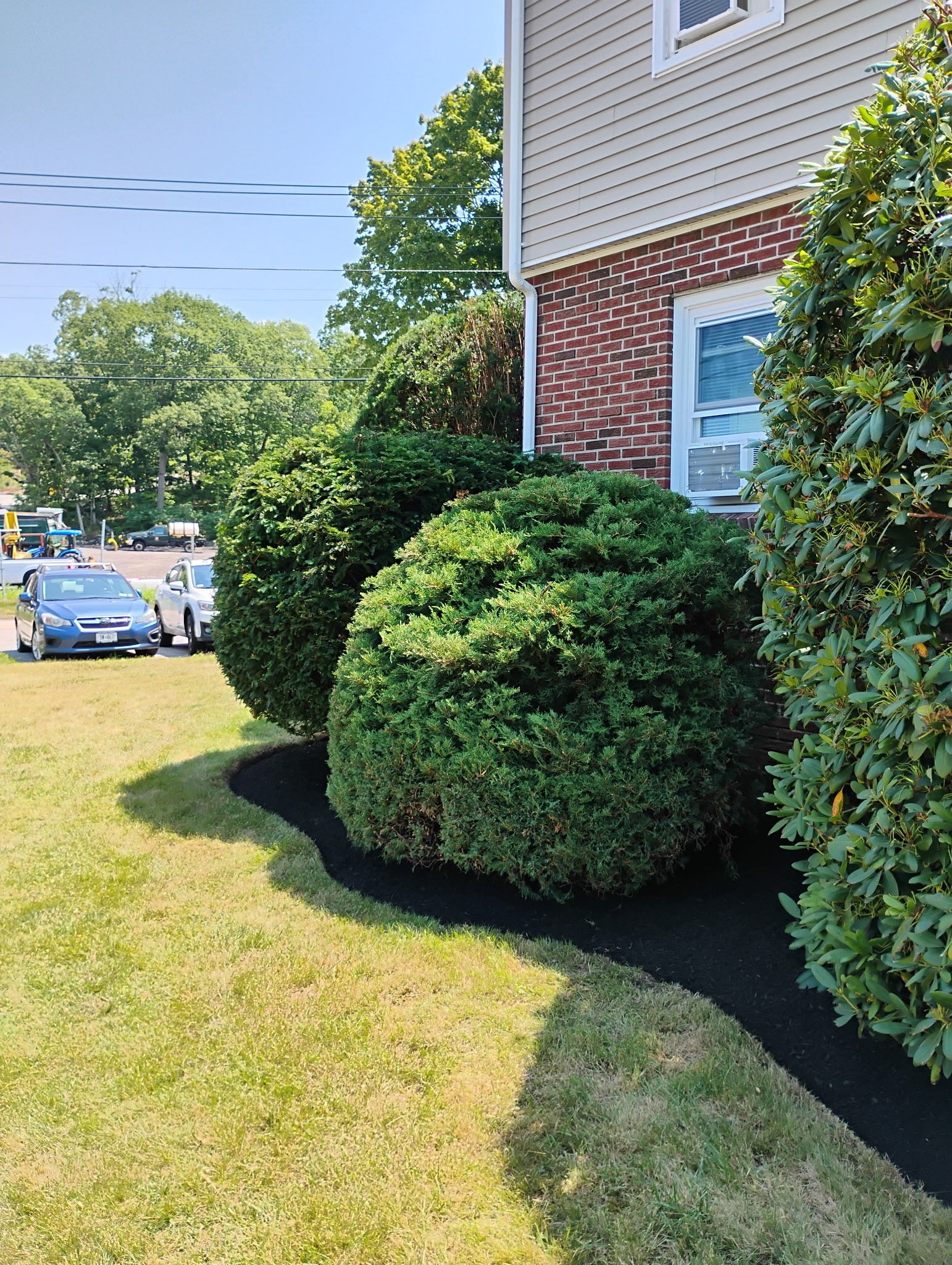 MTL Lawncare work gallery image 12