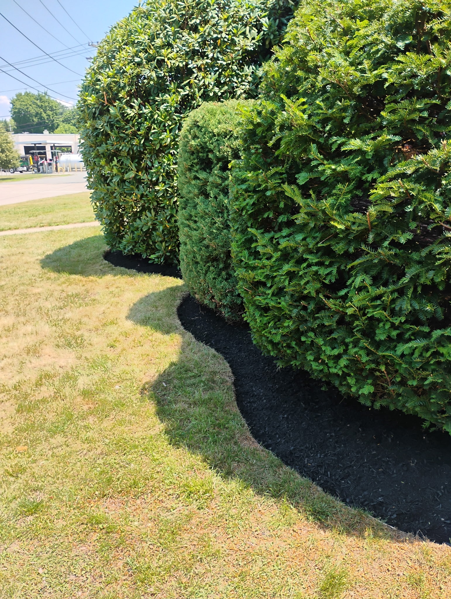 MTL Lawncare work gallery image 14