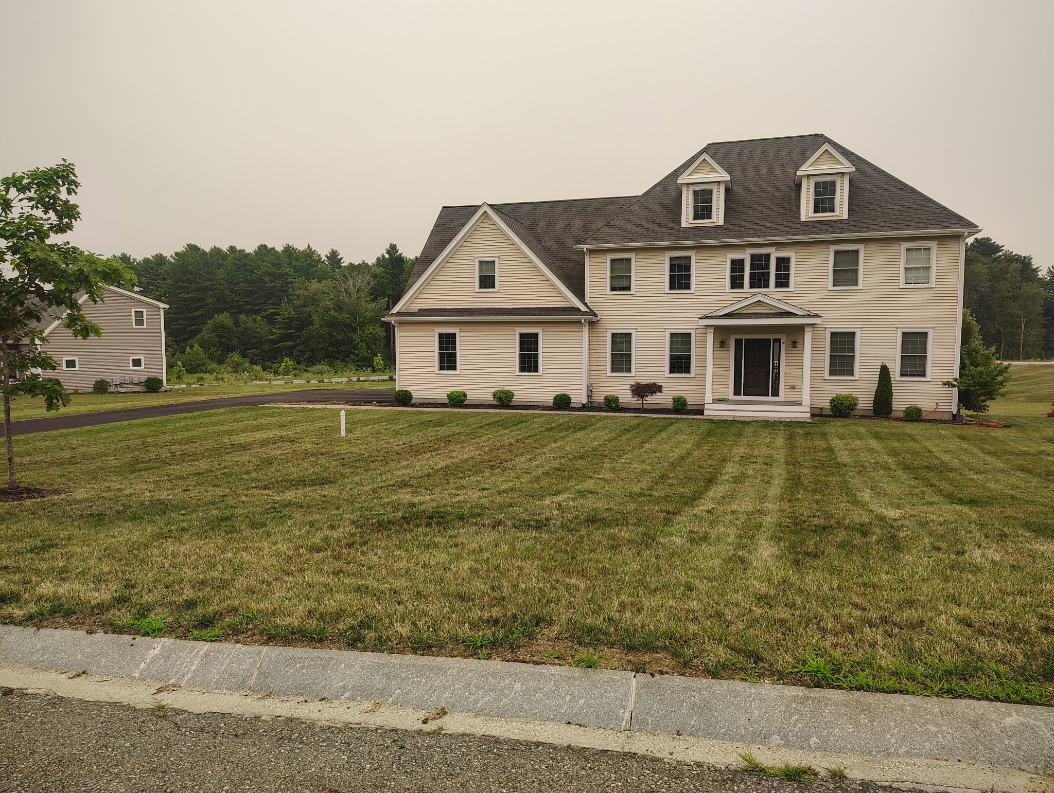 MTL Lawncare work gallery image 4