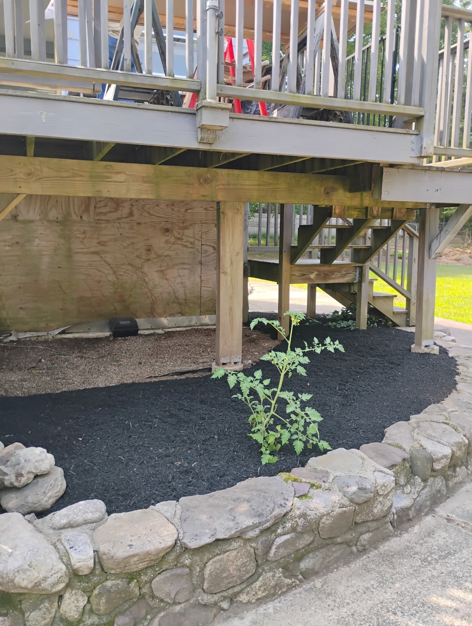 MTL Lawncare work gallery image 6