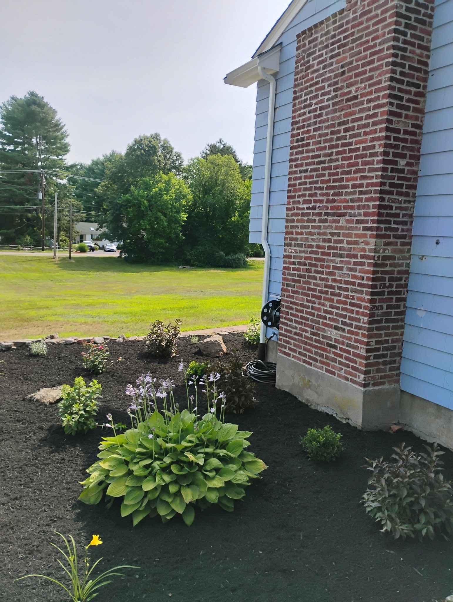 MTL Lawncare work gallery image 7